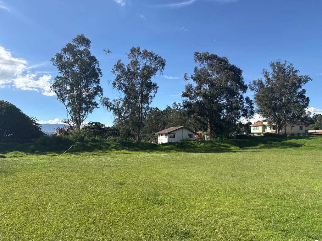 Local con Excelente Ubicación en Alquiler Sector Cumbayá