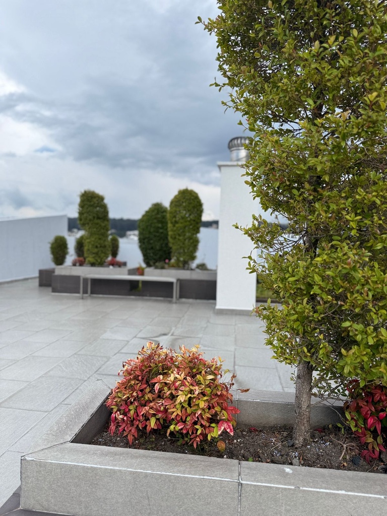 Suite en Venta de Oportunidad Sector La Carolina