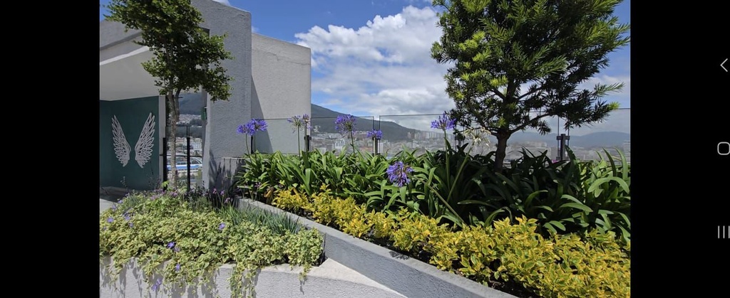 Suite con Hermosa Vista en Alquiler Sector La Carolina