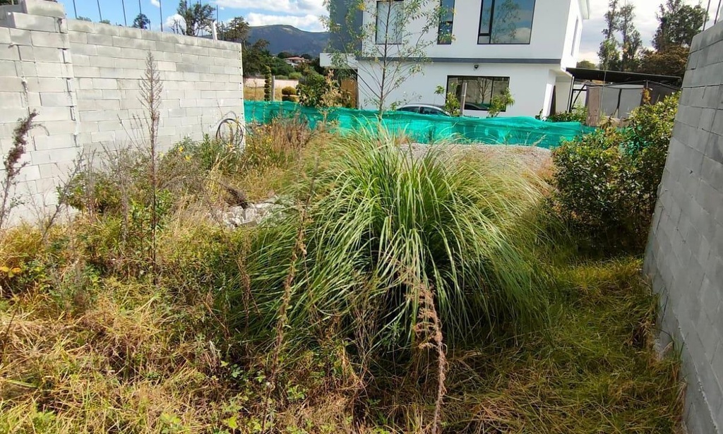 Terreno con Ubicación Estratégica Sector Tumbaco 