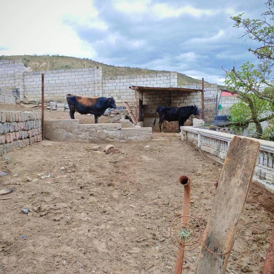 Casa con Ubicación Estratégica en Venta Sector Guayabamba